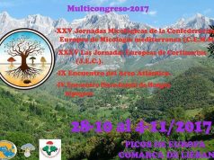 XXV JORNADAS MICOLÓGICAS POTES