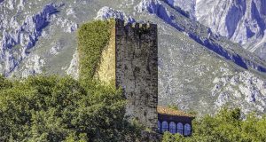 MOGROVEJO EN LIEBANA