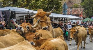 FERIA DE AÑO EN POTES 2017