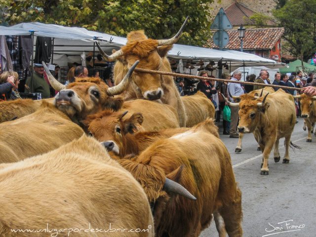 FERIA DE AÑO EN POTES 2017
