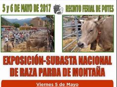 EXPOSICIÓN-SUBASTA NACIONAL DE RAZA PARDA DE MONTAÑA RAZA PARDE DE MONTAÑA