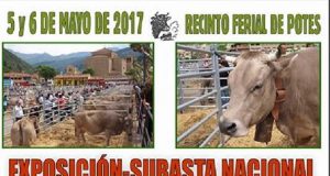 RAZA PARDE DE MONTAÑA