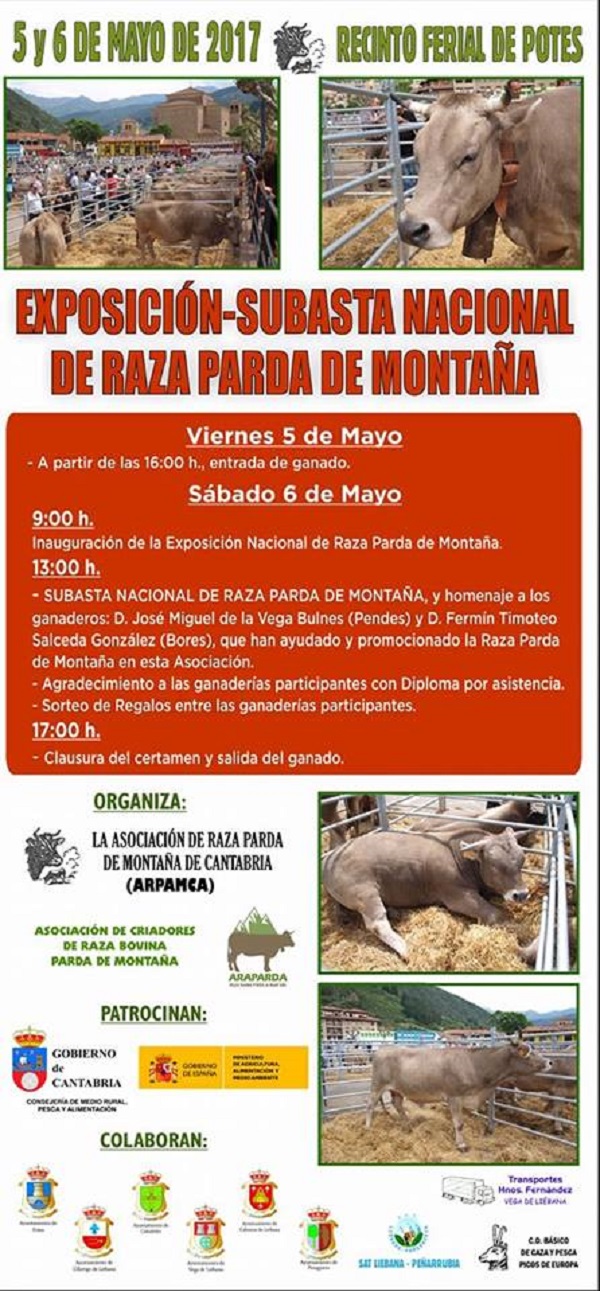 RAZA PARDE DE MONTAÑA RAZA PARDE DE MONTAÑA