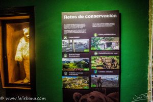CASA DEL OSO