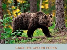 CASA DEL OSO DE LIÉBANA EN POTES CASA DEL OSO