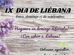 DÍA DE LIÉBANA