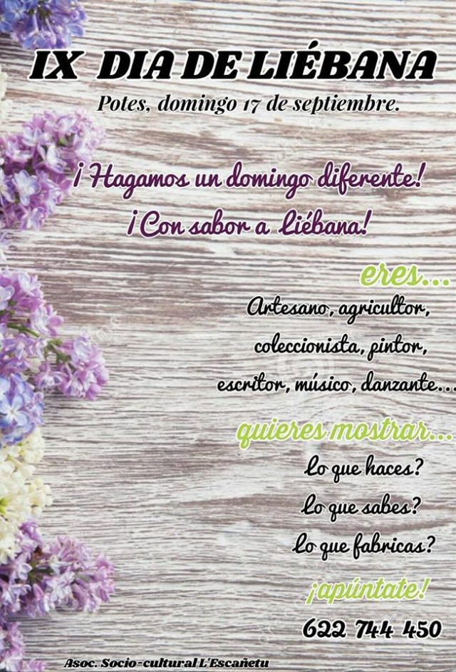 DÍA DE LIÉBANA