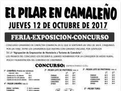 camaleño