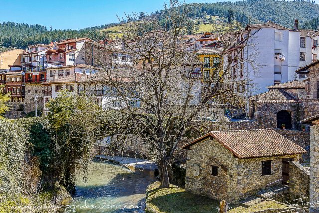 POTES POTES