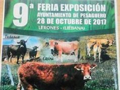 LERONES
