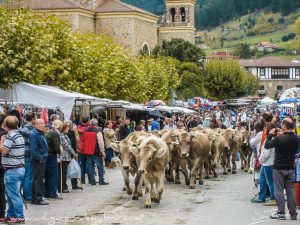 FERIA DE LOS SANTOS EN POTES