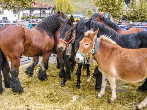 FERIA DE LOS SANTOS EN POTES