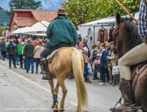 FERIA DE LOS SANTOS EN POTES