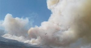 INCENDIO EN LIÉBANA
