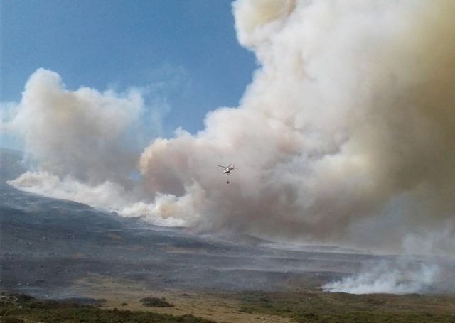 INCENDIO INCENDIO EN LIÉBANA