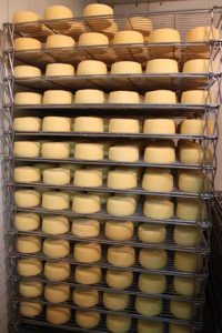 QUESO DE LIEBANA