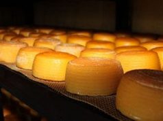 QUESO DE LIEBANA