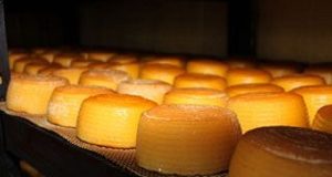 QUESO DE LIEBANA