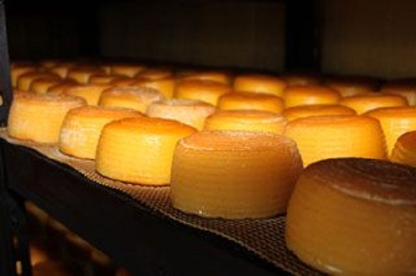 pena_cortes_033 QUESO DE LIEBANA
