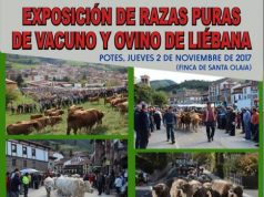 2 DE NOVIEMBRE EXPOSICIÓN DE RAZAS PURAS DE VACUNO Y OVINO DE LIÉBANA