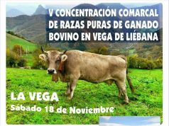 V CONCENTRACIÓN COMARCAL DE RAZAS PURAS DE GANADO BOVINO EN VEGA DE LIÉBANA VEGA DE LIÉBANA