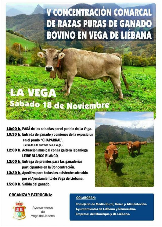 VEGA DE LIÉBANA
