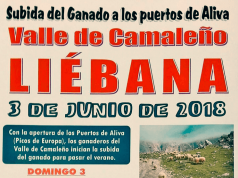 SUBIDA DEL GANADO A LOS PUERTOS DE ÁLIVA, 3 DE JUNIO Äliva
