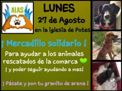 MERCADILLO SOLIDARIO. LUNES 27 DE AGOSTO EN POTES POTES