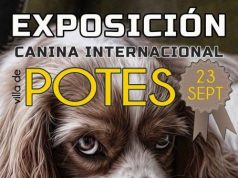 EXPOSICIÓN CANINA ITERNACIONAL “VILLA DE POTES” POTES