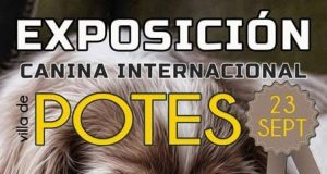 POTES
