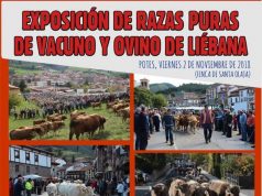 EXPOSICIÓN DE RAZAS PURAS DE VACUNO Y OVINO, Y FERIA DE LOS SANTOS EN POTES. POTES