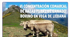 Vega de Liébana