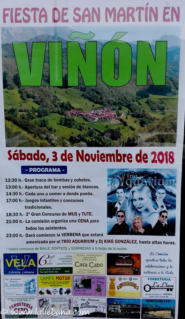 FIESTA DE SAN MARTÍN EN VIÑÓN