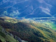 potes