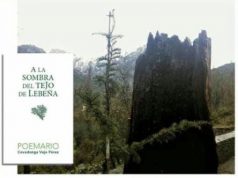PRESENTACIÓN DEL LIBRO “A LA SOMBRA DEL TEJO DE LEBEÑA” DE COVADONGA VEJO. covadonga vejo