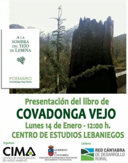 covadonga1 covadonga vejo