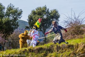 CARNAVAL_PIASCA_2019-1-8