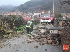 EL 112 RETIRA UN ARBOL EN EL CAMINO DE VALMAYOR POTES