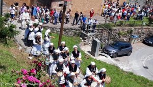TRESVISO