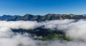 el portal de picos