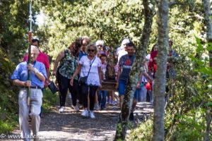 VIRGEN DE LAS NIEVES 2019-1-8