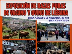 EXPOSICIÓN DE RAZAS PURAS DE VACUNO Y OVINO, Y FERIA DE LOS SANTOS EN POTES.