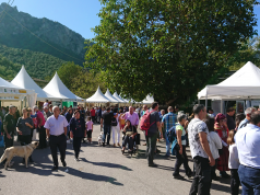 CELEBRADA EN CAMALEÑO LA V FERIA AGROALIMENTARIA “HECHU EN LÍEBANA”