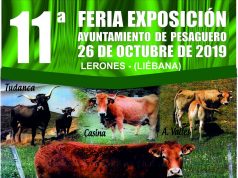 11ª FERIA -EXPOSICIÓN AYTO DE PESAGUERO EN LERONES pesaguero