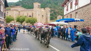 LOS SANTOS 2019 POTES (1 de 1)-18
