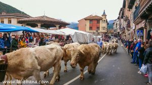 LOS SANTOS 2019 POTES (1 de 1)-19