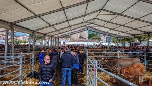 LOS SANTOS 2019 POTES (1 de 1)