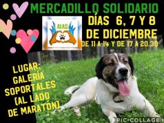 ALAS LIÉBANA: MERCADILLO SOLIDARIO EN POTES 6, 7 Y 8 DE DICIEMBRE