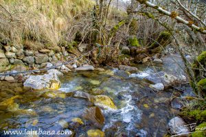 RIO CANTIJAN (1 de 1)-6