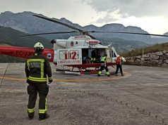 UNA VECINA DE LIEBANA, TRASLADADA A VALDECILLA POR PICADURA DE ABEJA iébana